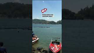 Download lagu penampakan munculnya naga😱 #legenda #misteri #penampakan mp3