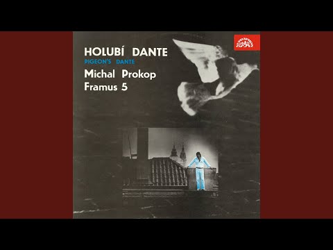 Holubí dante