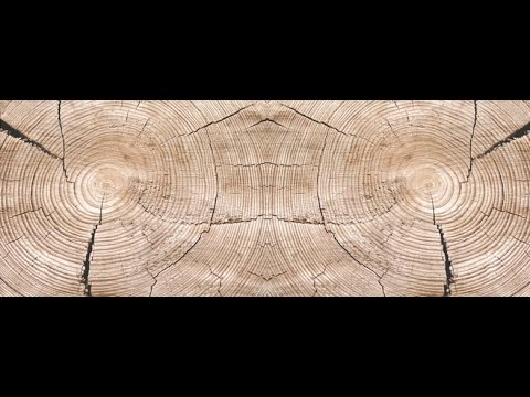 Erinnerungsbäume für die Asche eines geliebten Verstorbenen