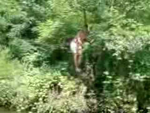 saritor profesionist