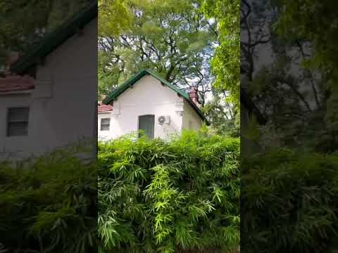 Da gusto poder caminar por el parque general Paz cuando no hay nadie #walking #shorts #tour #bsas