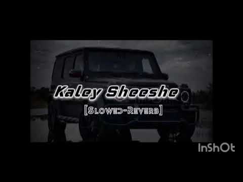 Kaley Sheeshe || Tu Hai Gentleman HaMain Balak Desi || Slowed & Reverb