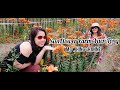 SunFlower Farm Yuen Long Ms Whing Channel