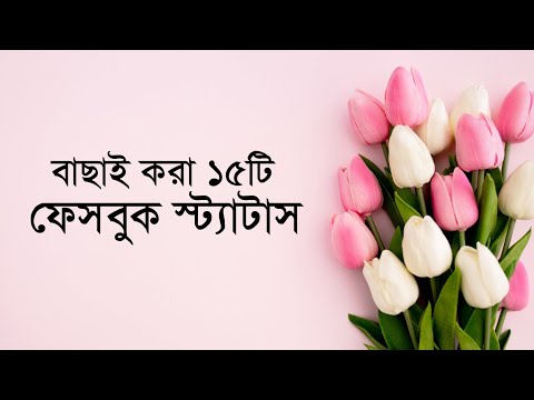 অসাধারণ কিছু ছোট ফেসবুক স্ট্যাটাস || New Facebook Status 