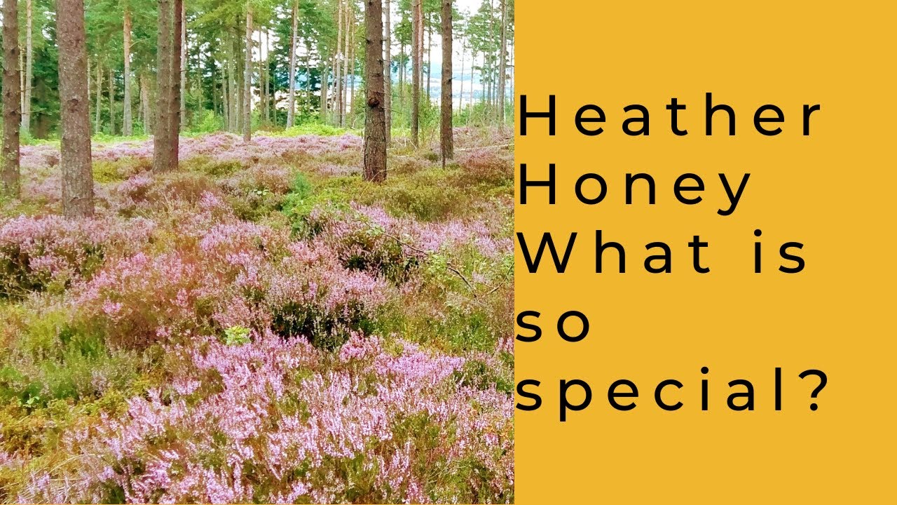 Heather Honey- What is so special?