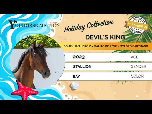 Devil's King Z