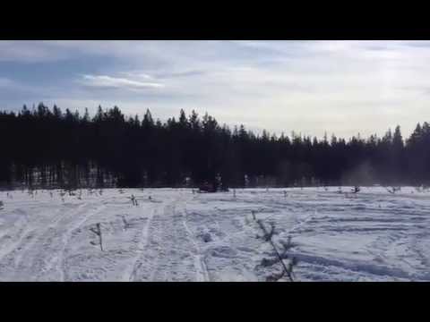 Fiilistelyä Ylläksellä