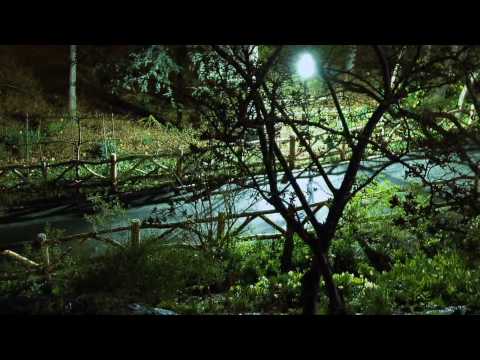 Parasite Eve - Missing Perspective