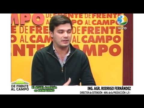 DE FRENTE AL CAMPO junto al SECTOR PRODUCTIVO PAMPEANO -V. MARTINEZ-R. FERNÁNDEZ-