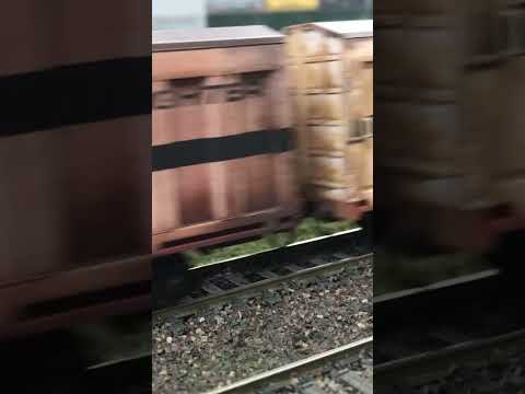 LDP leads a short SCT train