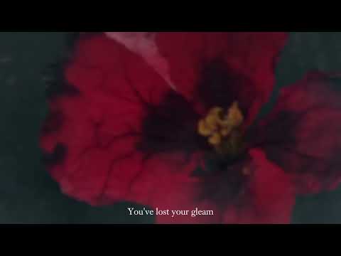 Siren Lake - Neverglow (LYRIC VIDEO)