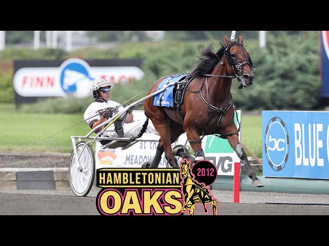 2013 Hambletonian Oaks - Bee A Magician
