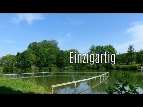 BDKJ-Ferienwelt  // Zeltlager Oberginsbach 2017 - Meine große Leidenschaft
