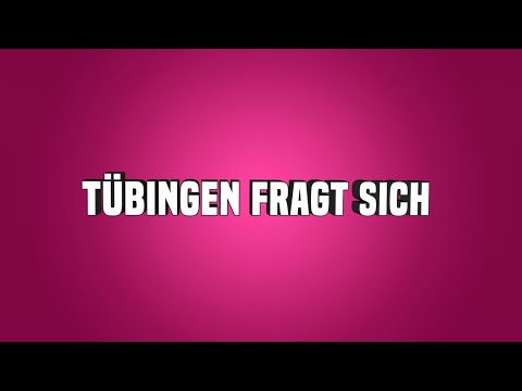 „Tübingen fragt sich“: Warum wurde eine Straße durch den Anlagenpark gebaut?