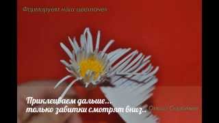 Причёски на длинные волосы с живыми цветами фото Причёски на длинные волосы с живыми цветами фото
