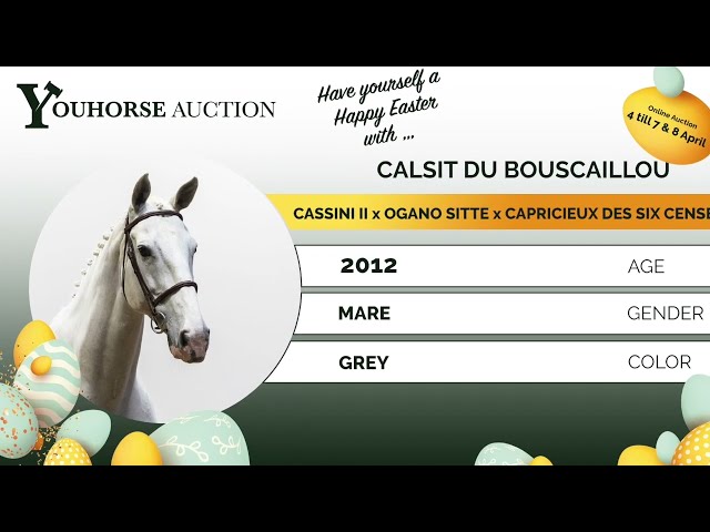 Calsit Du Bouscaillou showvideo