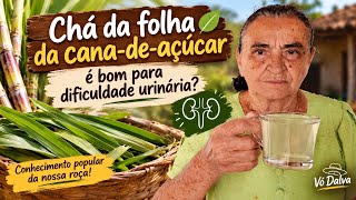 Está com dificuldade para urinar? Conheça essa receita caseira da Vó Dalva 🌿.
