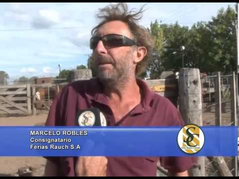 MARCELO ROBLES - Consignatario - Ferias Rauch S.A. - Rauch - 24/02/2014