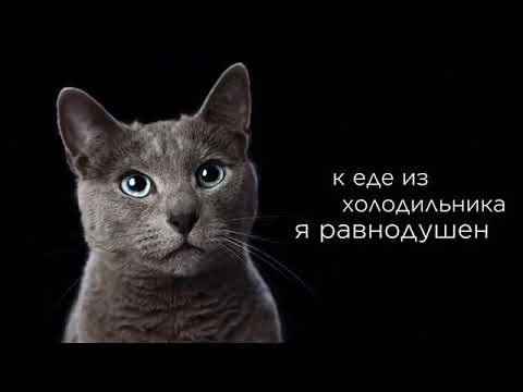 реклама которая мне понравилась