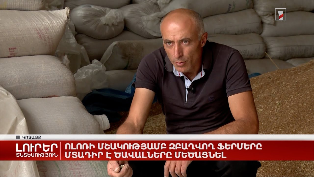 Ոլոռի մշակությամբ զբաղվող ֆերմերը մտադիր է ծավալները մեծացնել
