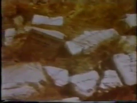 פרופ' בן ציון טבגר על בית העלמין חברון - Rare video of ancient Jewish Hebron cemetery