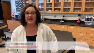 Public Health Education Major at Martin Methodist College