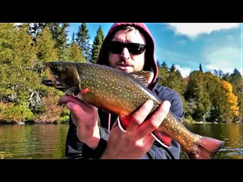 Lake Superior PP Interior Canoe Trip: Gamitagama Onward (1 of 2)