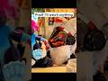 24 Seconds At The Fizzy Fox You Ll Never Get Back Furry Fursuit Furries