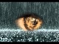Anastacia - Who's Gonna Stop The Rain Black ...