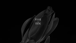 PAAR - SYN (VIDEO EDIT)
OFFICIAL VIDEO