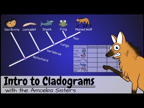 Intro to Cladograms and Phylogenetic Trees