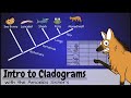 Intro To Cladograms And Phylogenetic Trees