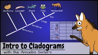 Intro to Cladograms and Phylogenetic Trees