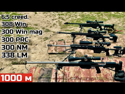 1000 м. - 338LM, 300 PRC, 300 NM, 300 win mag, 308 win, 6,5 creedmoor.