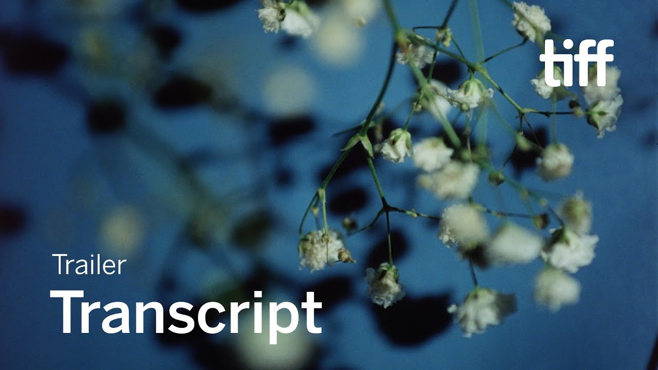 TRANSCRIPT Trailer | TIFF 2019