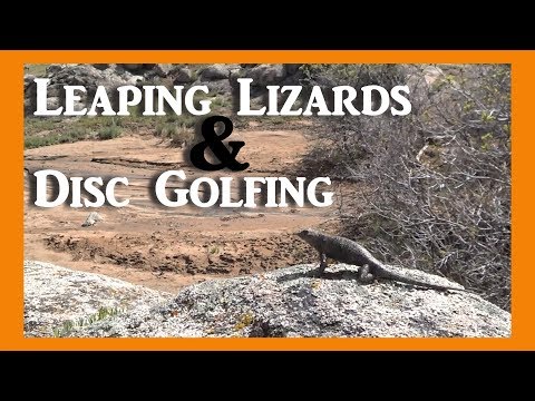 Three Peaks Disc Golf Course - Southern Utah Review