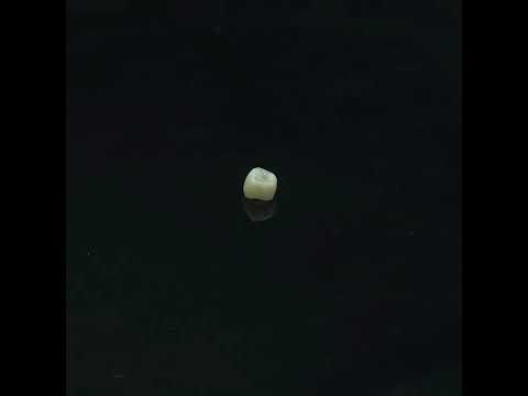 YouTube 썸네일