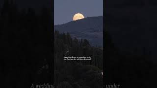 Download lagu TAMPILAN LUNA MAYA SAAT WEDDING DINNER DI ITALY mp3 Download lagu TAMPILAN LUNA MAYA SAAT WEDDING DINNER DI ITALY mp3