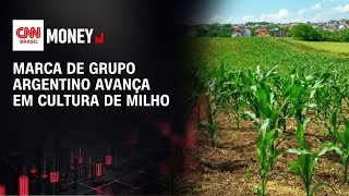 Vídeo: Marca de grupo argentino avança em cultura de milho | ABERTURA DE MERCADO