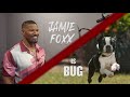 Strays | Jamie Foxx Is Bug Featurette