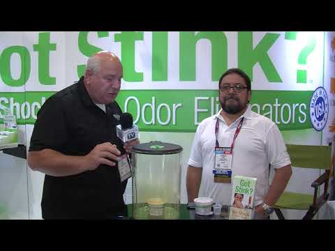 Remove Odors from Your Car – Wheels in Motion | Biocide Systems