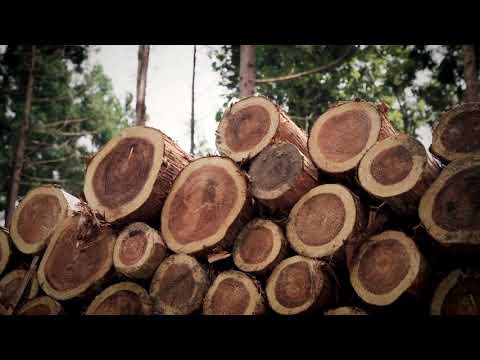 会社紹介動画short version(株式会社日本の窓)