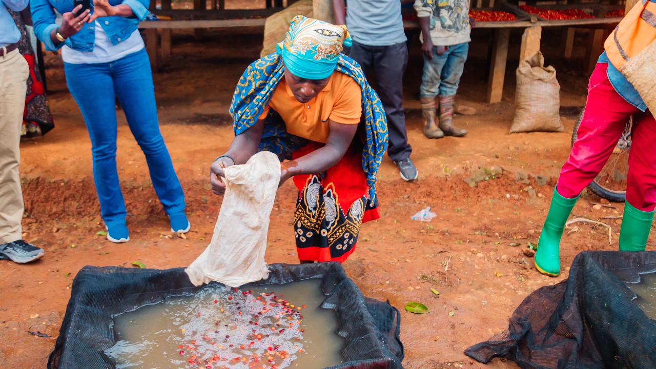Brewing Growth in Burundi’s Coffee Sector