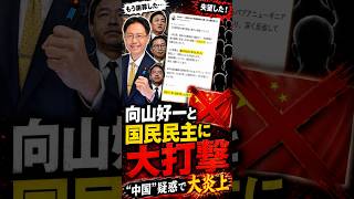 【緊急】向山好一、謝罪しても終わらず…「中国を利した」と批判殺到！国民民主党に想定外の大打撃#向山好一 #国民民主党 #玉木雄一郎 #榛葉賀津也 #日本政治 #政治ニュース