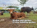Gema Takbir Hari Raya Idul Adha 1445 H