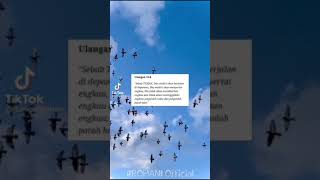 Download lagu Story WA Rohani Kristen 30 detik // Minggu 4 Juli 2021 mp3 Download lagu Story WA Rohani Kristen 30 detik // Minggu 4 Juli 2021 mp3