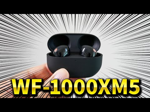 WF-1000XM5 中古 11,400円 | ネット最安値の価格比較 プライスランク