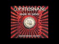 Whitesnake - Good to be bad (Acoustic Version ...