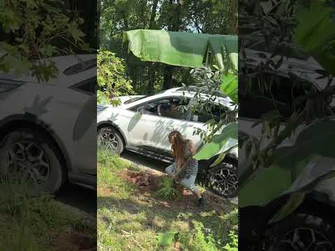 I almost couldn't go back... #This driving skill is unmatched #Outdoor