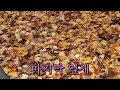 'ㅎㅎㅎ라일락꽃향님께' 글에 포함된 동영상
